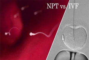 How is IVF pregnancy different from a natural one?