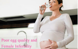 Poor Egg Quality and Female Infertility