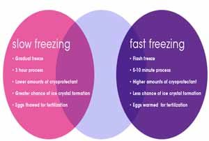 Vitrification or Slow Freezing