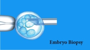 Embryo-Biopsy