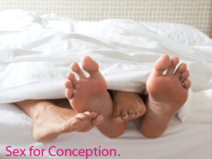 Sex-for-Conception-Gaudium-IVF-Centre