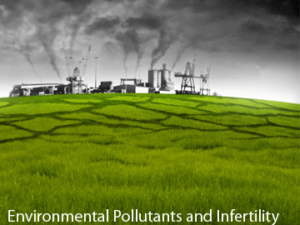 Environmental Pollutants and IVF Treatment in Delhi