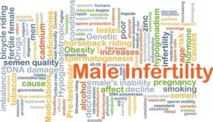 Male Factor Infertility