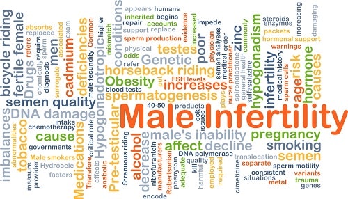 How can we inquire Male Factor Infertility