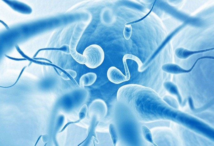 A Closer look at the types, causes, and treatment of Azoospermia