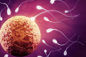 All About Infertility treatment