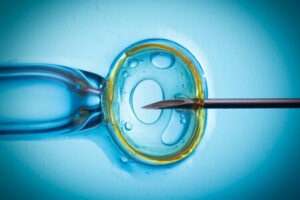 Frozen-Embryo-Transfer