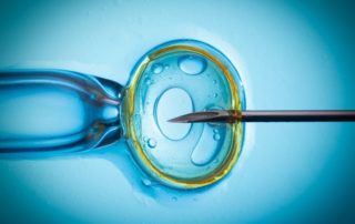 embryo transfer to increase success