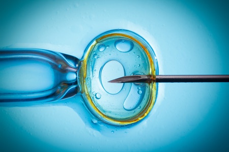 embryo transfer to increase success