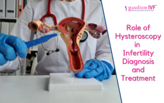 Role of Hysteroscopy in Infertility Diagnosis and Treatment