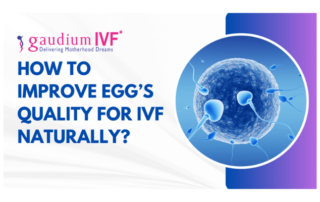 How to Improve Egg’s Quality for IVF Naturally?